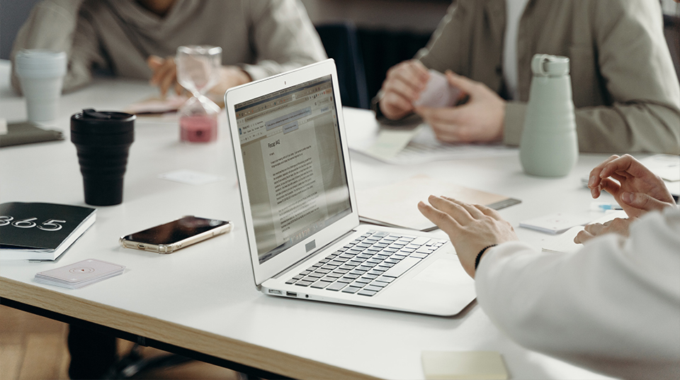 Human Capital Professionals